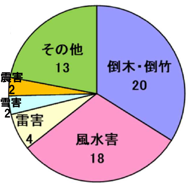 災害原因円グラフ